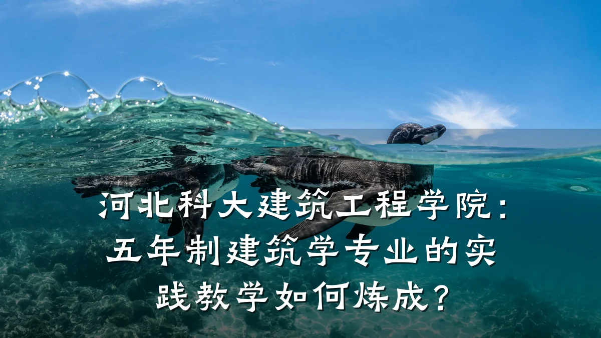 河北科大建筑工程学院:五年制建筑学专业的实践教学如何炼成?