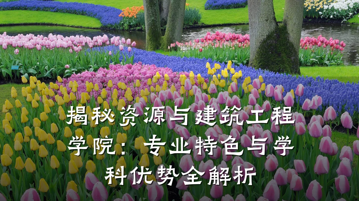揭秘资源与建筑工程学院:专业特色与学科优势全解析