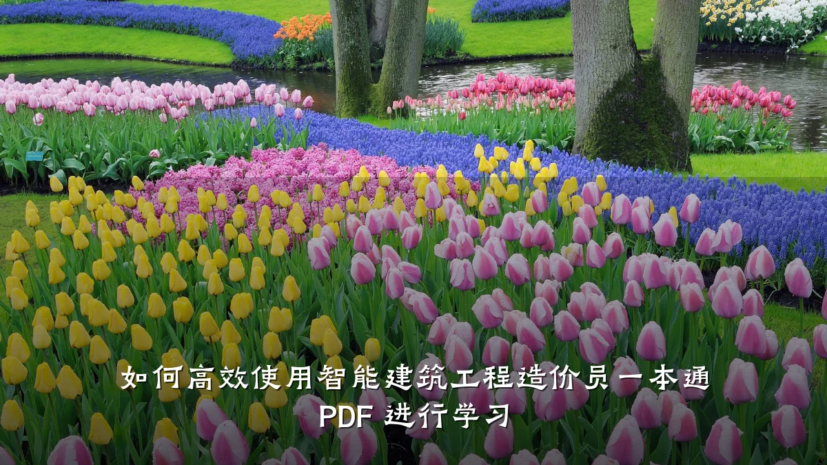 如何高效使用智能建筑工程造价员一本通 PDF 进行学习