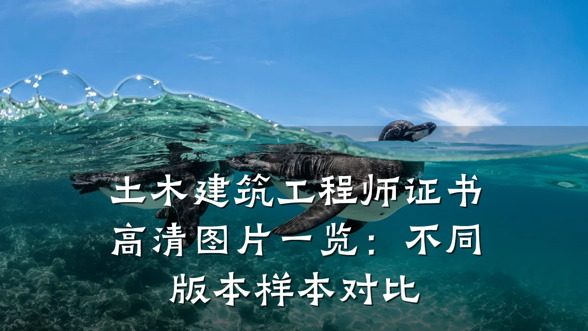 土木建筑工程师证书高清图片一览:不同版本样本对比