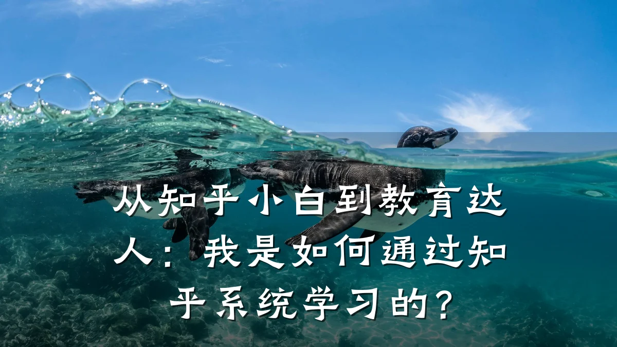 从知乎小白到教育达人：我是如何通过知乎系统学习的？
