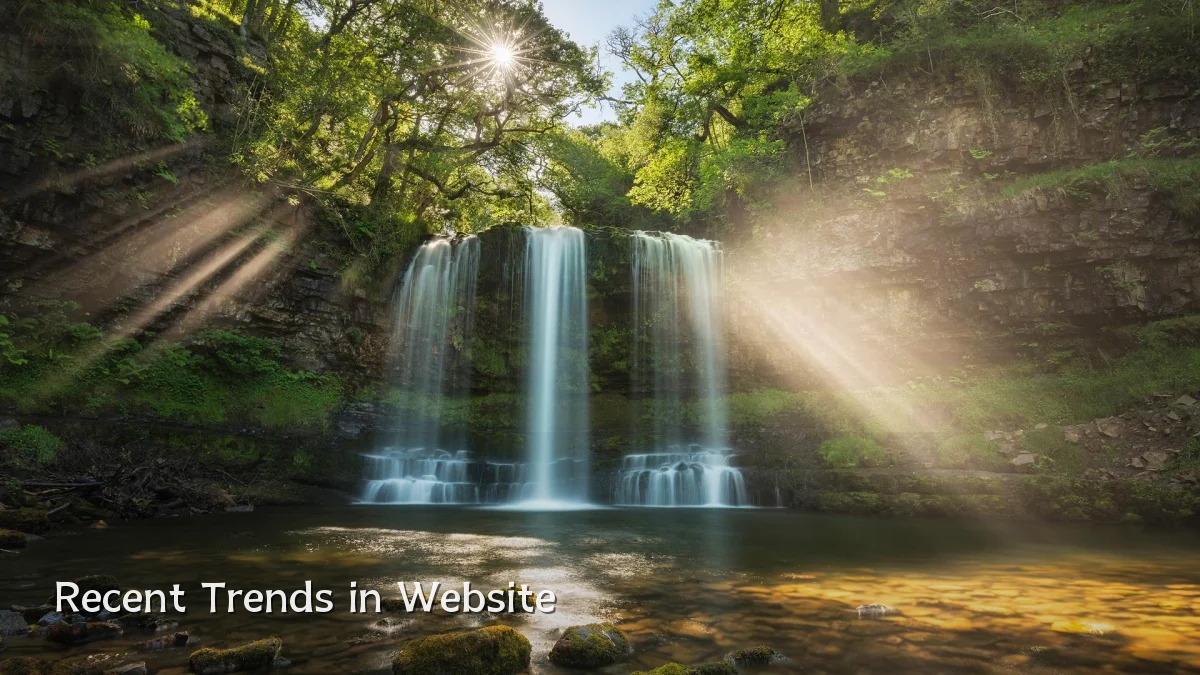 Recent Trends in Website